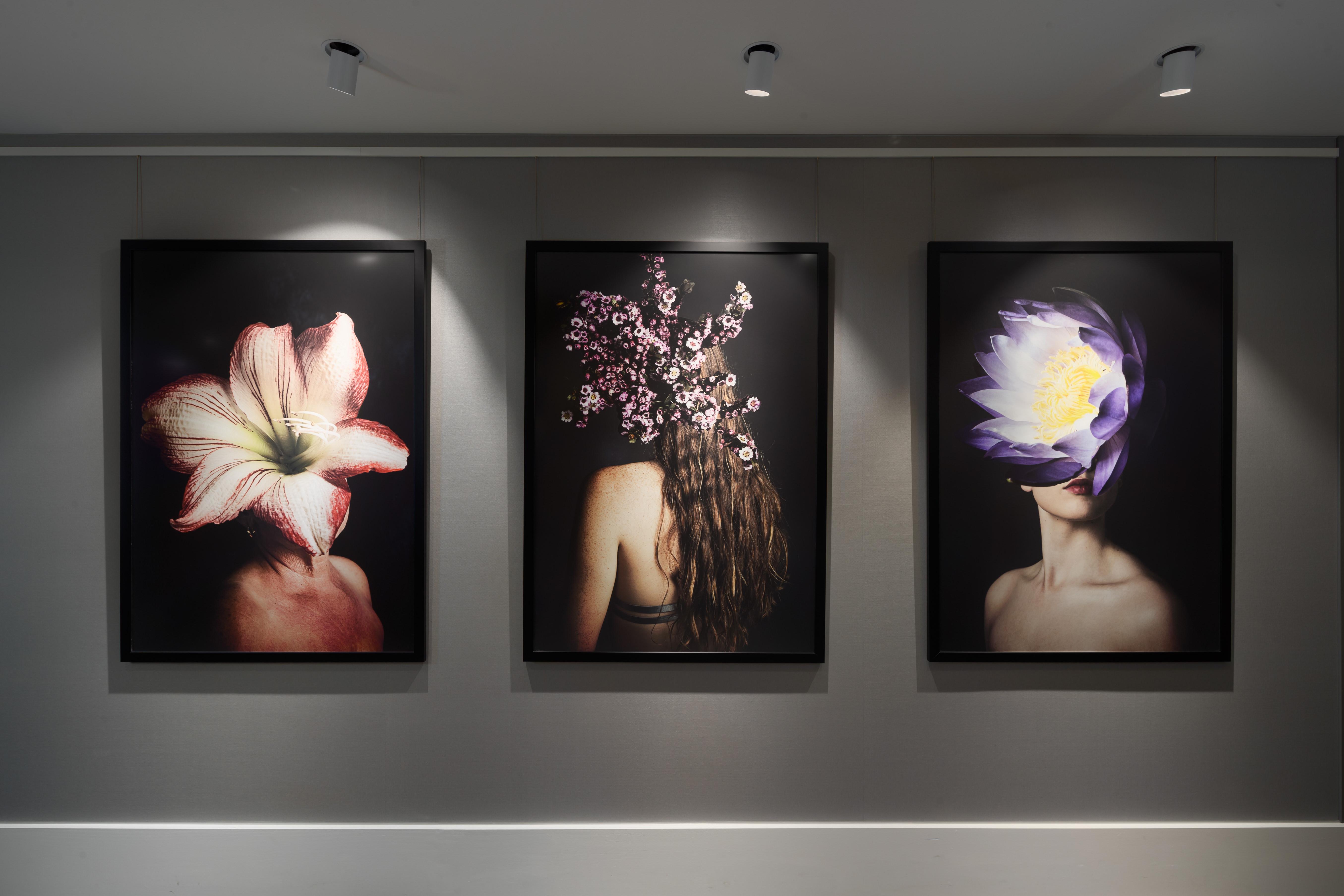 Crystalbrook Bailey Hotell Cairns Exteriör bild The Flower Series